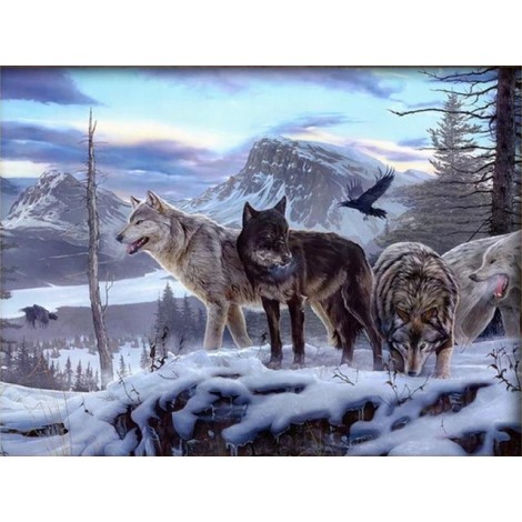 Wolfsrudel auf Ausschau