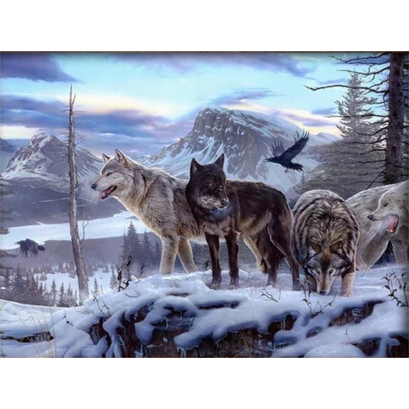 Wolfsrudel auf Aussc...