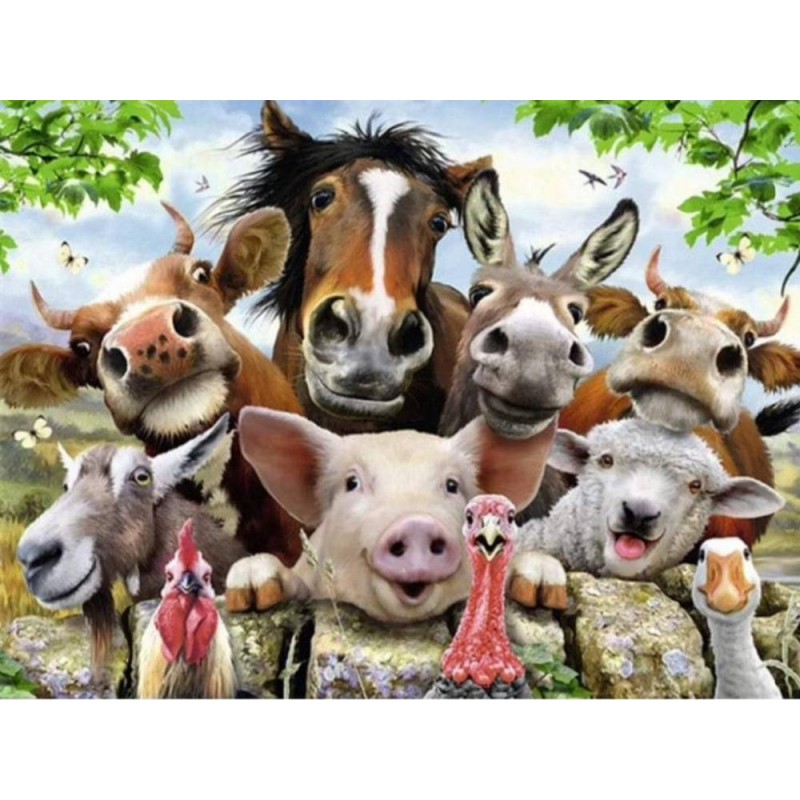 Party auf dem Bauern...