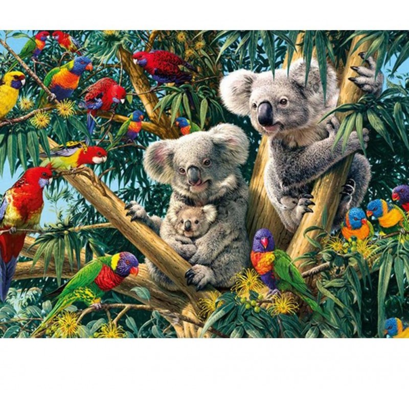 Koala Familie