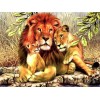Die Familie des Löwen