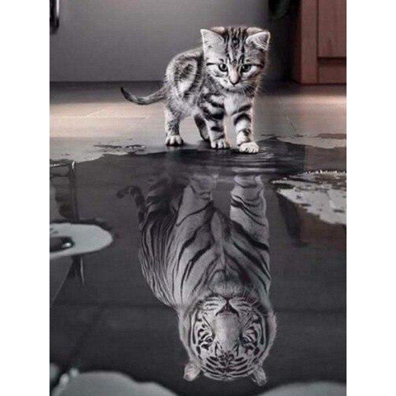 Kleine Katze, große...