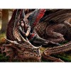 Drachen Lady