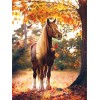 Autumn Horse