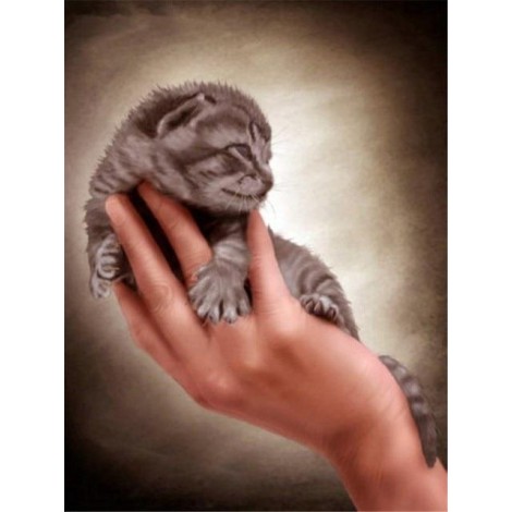 Kätzchen in der Hand