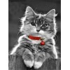 Kätzchen mit roter Glocke