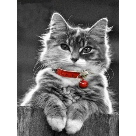 Kätzchen mit roter Glocke