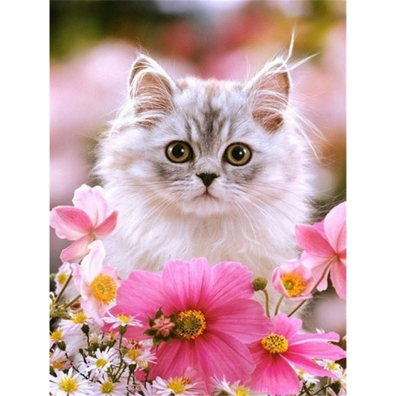 Kätzchen im Blumenb...