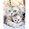 Kätzchen und Katzenmutter