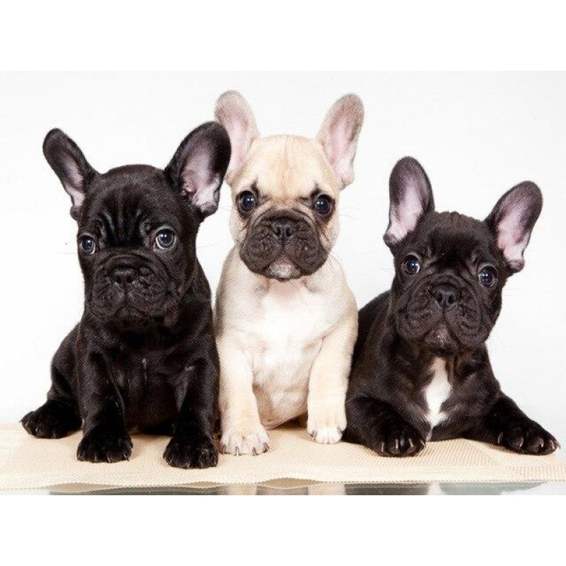 Einer kommt selten a...