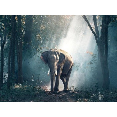 Elefant im Wald