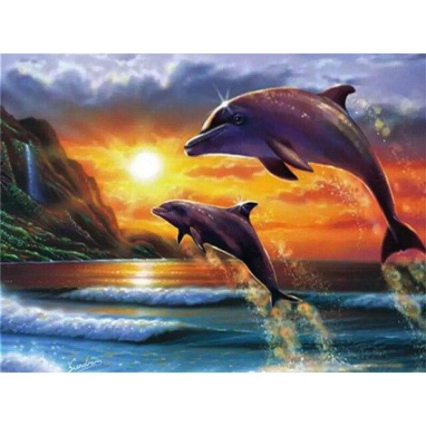 Dolphin Sunset