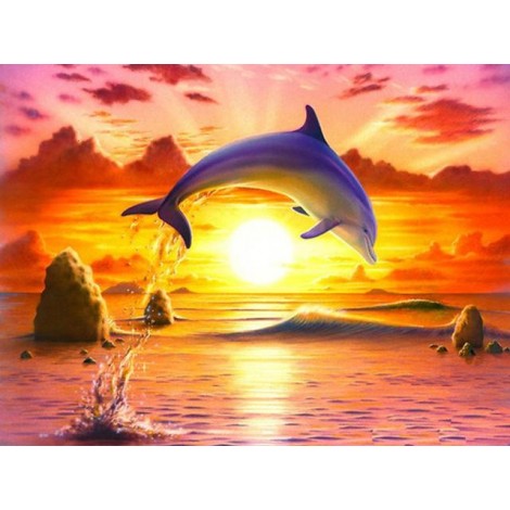 Delfin im Sonnenuntergang